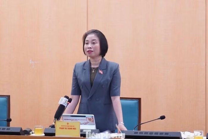 Bà Phạm Thị Thanh Mai, Phó Chủ tịch HĐND thành phố Hà Nội phát biểu tại phiên thảo luận tổ.