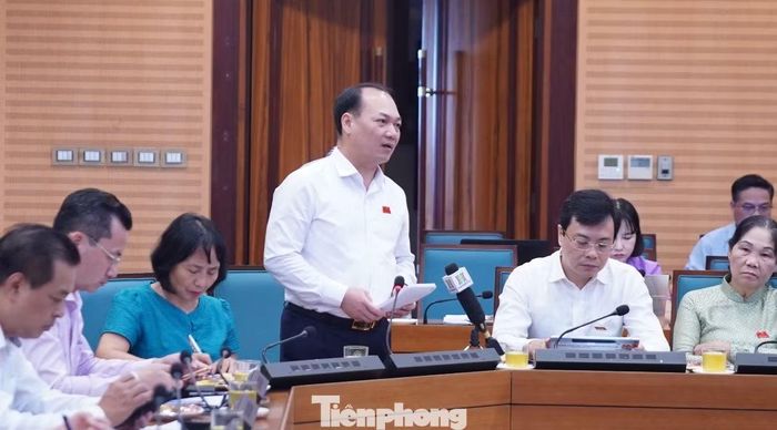 Ông Nguyễn Anh Dũng (đại biểu xã Đông Anh) nêu ý kiến tại phiên thảo luận tổ.
