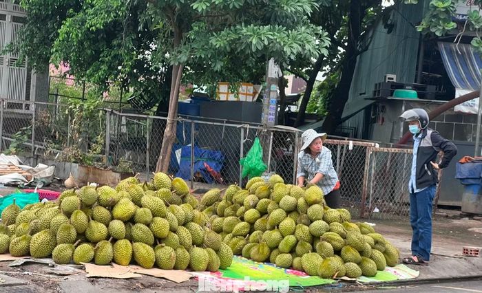 Sầu riêng chất đống vỉa hè ở TPHCM, giá chỉ từ 30.000 đồng/kg.