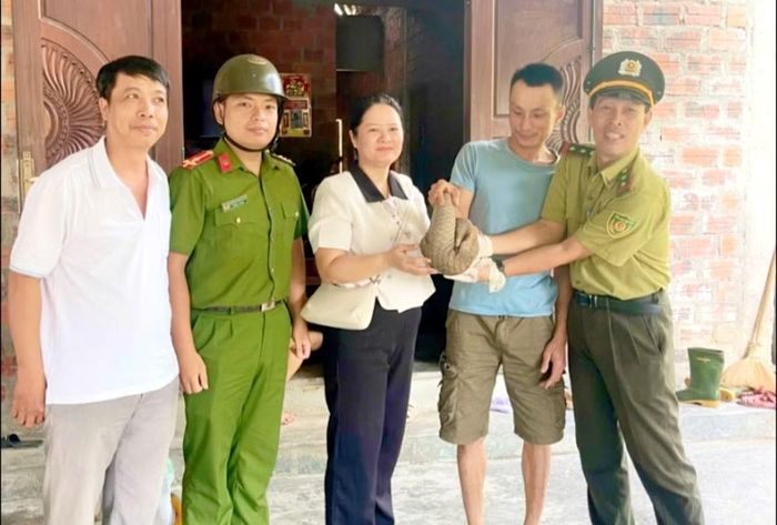 Đại diện cơ quan kiểm lâm tại Huế và lực lượng chức năng phường Kim Long tiếp nhận cá thể tê tê do người dân giao nộp.