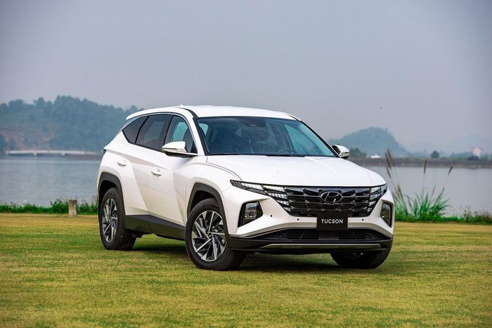Hyundai hiện chỉ chiếm 7,6% "miếng bánh" thị trường ô tô Việt Nam. Ảnh: TC Motor