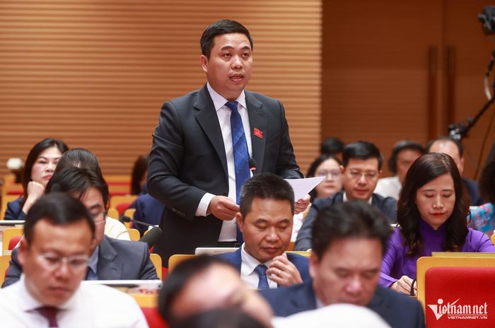Đại biểu Vũ Gia Luyện phát biểu