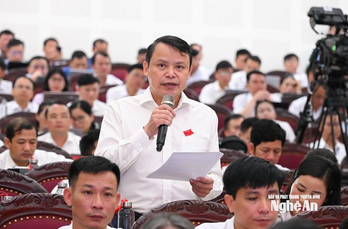 Đại biểu Trần Đình Toàn nêu câu hỏi tại phiên chất vấn. Ảnh: Thành Cường