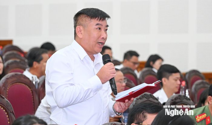 Đại biểu Hoàng Lân (Tổ đại biểu số 10) phát biểu chất vấn. Ảnh: Thành Cường