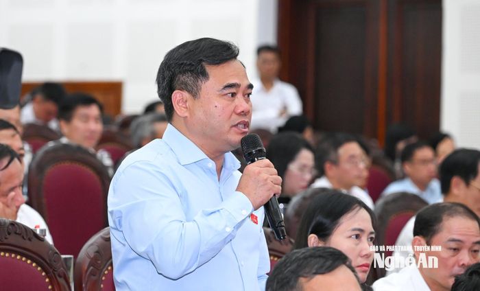 Đại biểu Nguyễn Viết Hùng (Tổ đại biểu số 11) phát biểu chất vấn. Ảnh: Thành Cường