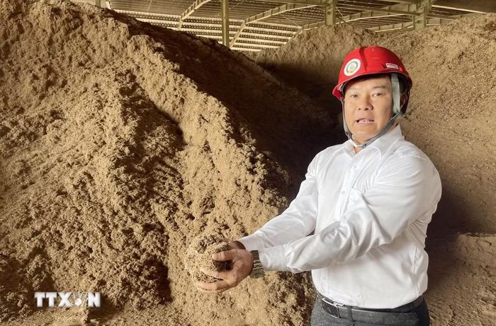 Công ty Cổ phần năng lượng sáng tạo Á Châu đã chuyển sang sử dụng dăm gỗ sau sấy (độ ẩm 10%) làm nhiên liệu đốt nhằm giảm lượng hơi nước và bụi ra môi trường, trước đó công ty sử dụng nhiên liệu có độ ẩm cao. (Ảnh: Phạm Cường/TTXVN)