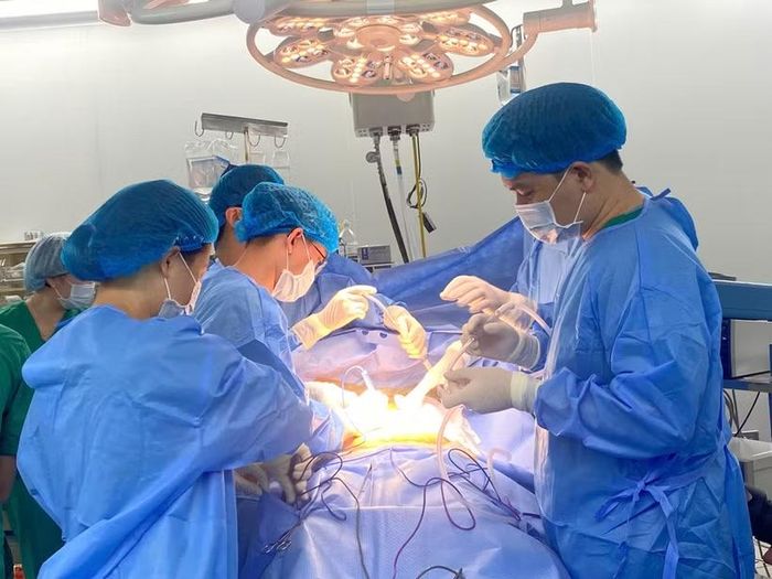 Các bác sỹ Bệnh viện đa khoa Xanh Pôn đã thực hiện thành công ca lấy đa tạng từ người bệnh chết não. (Ảnh: PV/Vietnam+)