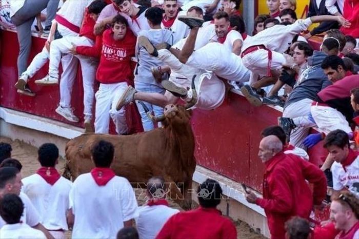 "Người tham gia chạy đua cùng bò tót tại lễ hội San Fermin ở Pamplona, Tây Ban Nha, ngày 7/7/2024. Ảnh tư liệu: Getty Images/TTXVN