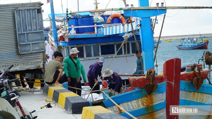 Tàu cá chuẩn bị cho chuyến biển mới.