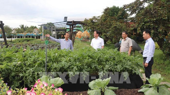 Đoàn công tác tham quan tại khu vực sinh thái miệt vườn Eco Farm. Ảnh: Nguyễn Hằng - TTXVN