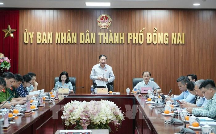 Ông Bùi Xuân Thống, Phó Trưởng Đoàn chuyên trách Đoàn đại biểu Quốc hội thành phố Đồng Nai phát biểu tại buổi làm việc. Ảnh: Công Phong - TTXVN