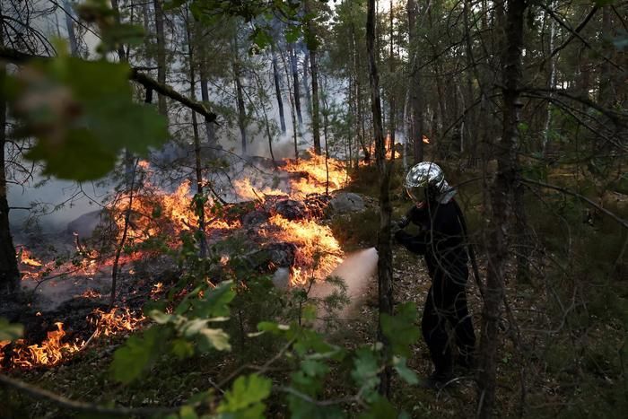 Ảnh: Reuters.