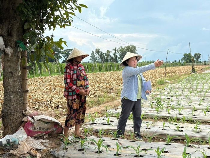 Hướng dẫn nông dân canh tác nông nghiệp theo hướng hữu cơ.