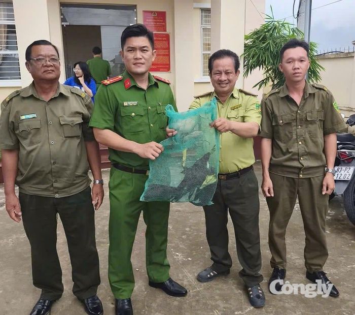 Công an phường bàn giao chim cổ rắn vừa tiếp nhậncho lực lượng Kiểm lâm.
