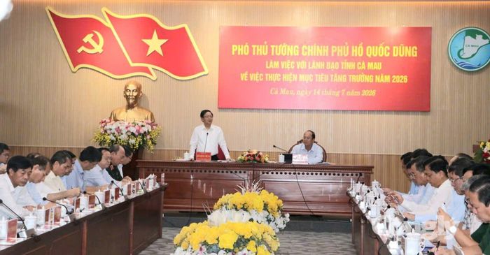 Quang cảnh buổi làm việc.