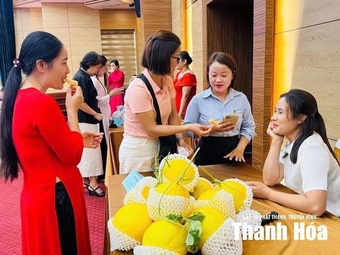 Khách hàng tiêu biểu của Tổ chức TCVM Thanh Hóa trưng bày, giới thiệu sản phẩm tại Lễ tổng kết Dự án AMB.