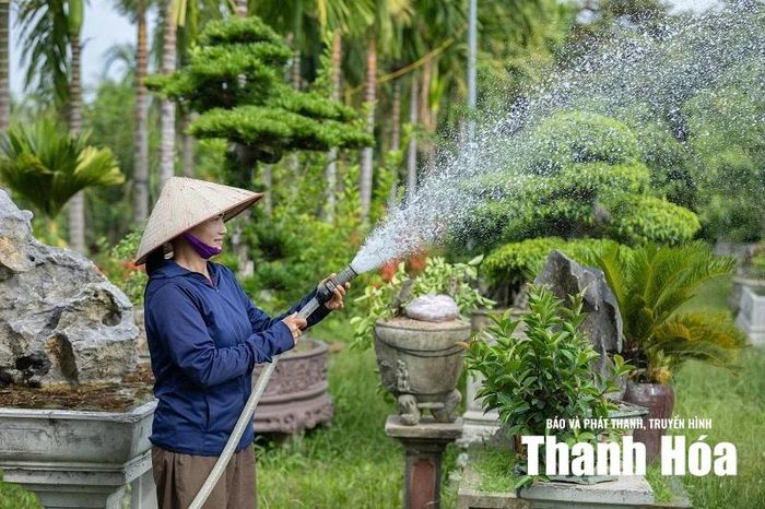 Chị Nguyễn Thị Bình là một trong những thành viên tích cực học hỏi, có nhiều thay đổi rõ rệt sau khi tham gia Dự án AMB.