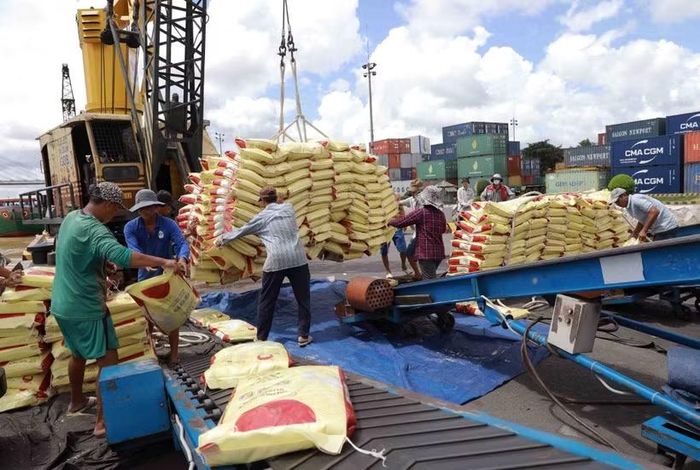 Mục tiêu 100 tỷ USD không chỉ kiểm chứng năng lực của riêng ngành nông nghiệp. Nó còn phản ánh khả năng phối hợp giữa các cơ quan quản lý, mức độ tham gia của doanh nghiệp, hiệu quả phân bổ nguồn lực và năng lực tổ chức thực hiện của toàn bộ nền kinh tế. Ảnh: Vũ Sinh/TTXVN.