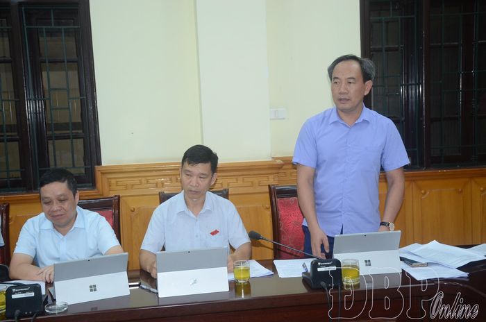 Phó Chủ tịch HĐND tỉnh Bùi Minh Hải phát biểu tại buổi họp thẩm tra.