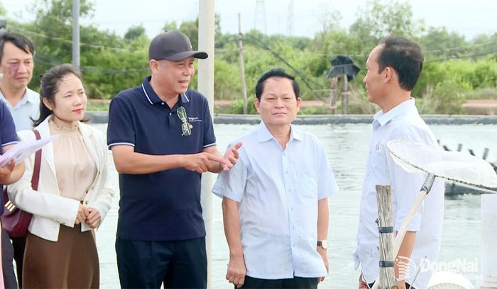 Đoàn tham quan mô hình nuôi tôm công nghệ cao tại xã Phước An. Ảnh: Văn Đoàn