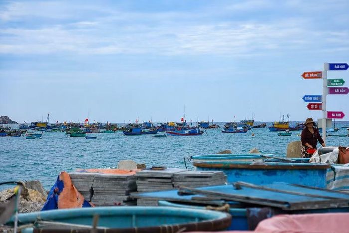  Kinh tế xã đảo Nhơn Châu tiếp tục duy trì đà tăng trưởng, trong đó kinh tế biển giữ vai trò chủ đạo. Ảnh: H.P 