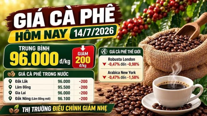 Hình minh họa