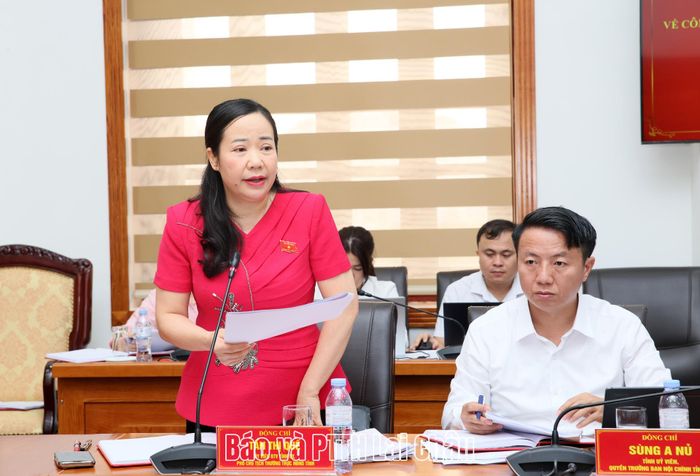 Đồng chí Tẩn Thị Quế - Phó Chủ tịch Thường trực HĐND tỉnh điều hành nội dung phiên họp. 