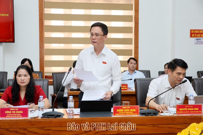 Lãnh đạo Ban Kinh tế - Ngân sách HĐND tỉnh phát biểu tại phiên họp. 