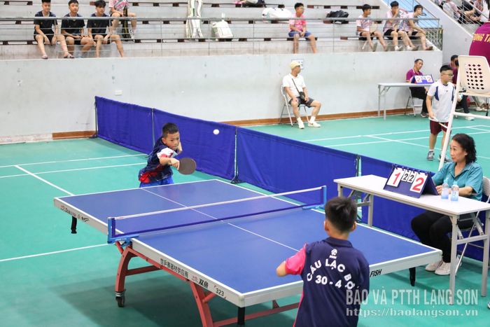 Các vận động viên thi đấu môn bóng bàn