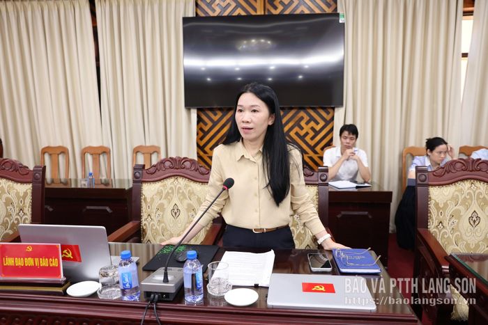 Lãnh đạo Sở Ngoại vụ phát biểu tại hội nghị