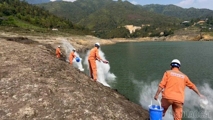 Theo ông Cao Bá Quý - Chủ tịch UBND xã Tả Van, toàn bộ hệ thống lồng bè nuôi cá trên hồ đã được tháo dỡ. Cùng với đó, công tác vệ sinh môi trường được triển khai đồng bộ, góp phần cải thiện chất lượng nước và phục hồi cảnh quan.