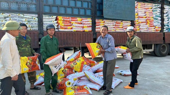 Giá phân bón giảm mạnh từ 12 - 30% tùy loại, tạo điều kiện cho nông dân thâm canh tăng năng suất.