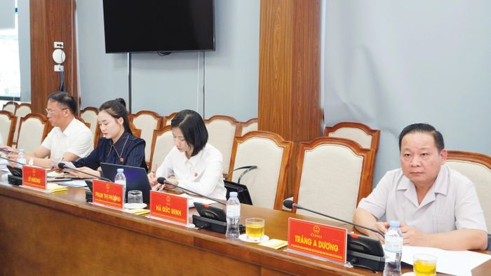 Đại biểu dự cuộc họp.