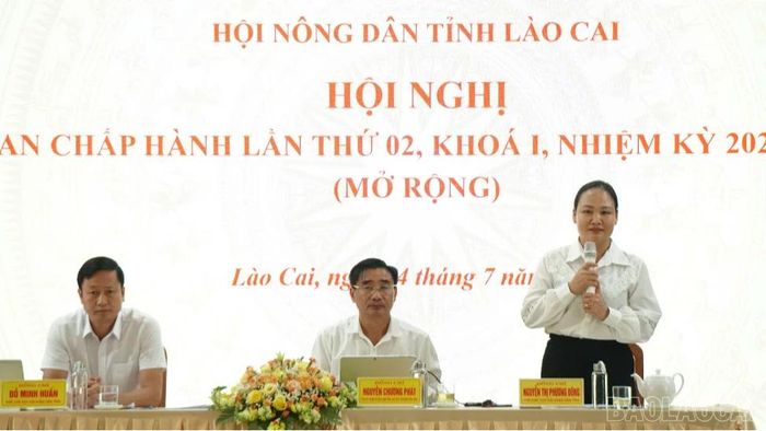 Ban tổ chức điều hành thảo luận.
