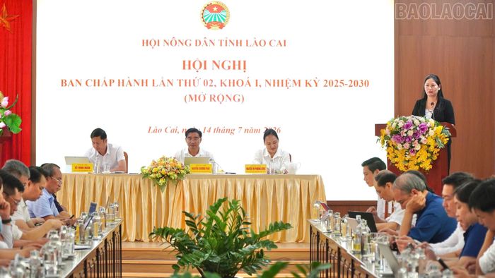 Đồng chí Đoàn Thị Thanh Tâm - Phó Trưởng ban Thường trực Ban Tuyên giáo và Dân vận Tỉnh ủy phát biểu tại hội nghị.