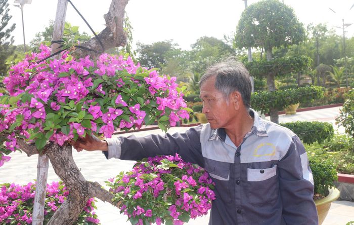 Ông Dương Văn Hậu hiểu rõ đặc tính từng loại hoa, cây xanh trong khuôn viên nghĩa trang