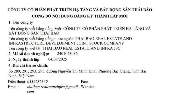 Thông tin đăng ký CTCP Phát triển hạ tầng và Bất động sản Thái Bảo.