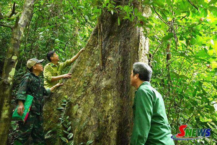 Thành viên Tổ quản lý, bảo vệ rừng bản Sọc cùng kiểm lâm viên kiểm tra hiện trạng rừng.