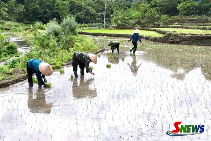 Rừng đầu nguồn được bảo vệ góp phần duy trì nguồn nước phục vụ sản xuất của người dân xã Mường Bang.