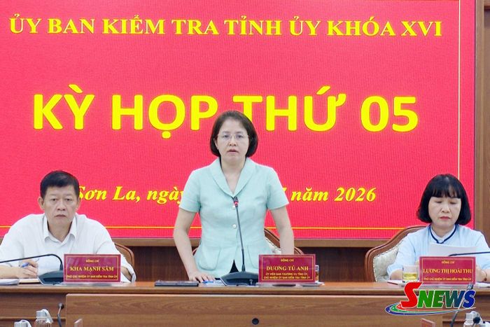 Đồng chí Chủ nhiệm UBKT Tỉnh ủy phát biểu tại Kỳ họp.