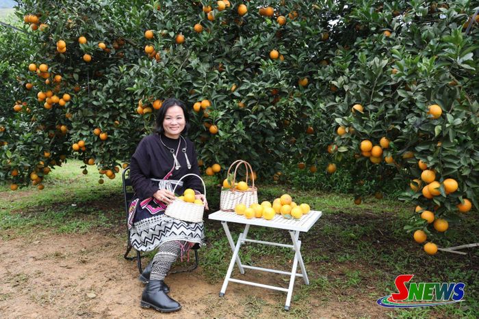 Không gian trải nghiệm tại vườn cam ở xã Mường Cơi, góp phần phát triển du lịch gắn với nông nghiệp.