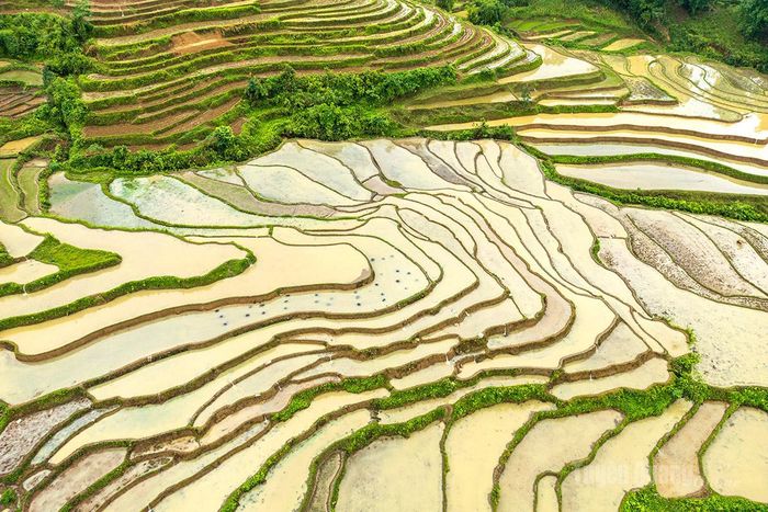 Vẻ đẹp chạm tới cảm xúc của các nhiếp ảnh gia và khách du lịch.