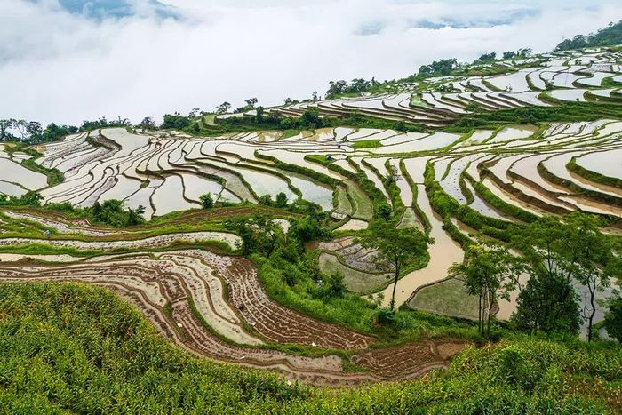 Những đôi bàn tay của nông dân Hồng Thái hóa đất đá núi thành bức tranh thủy mặc tuyệt đẹp.