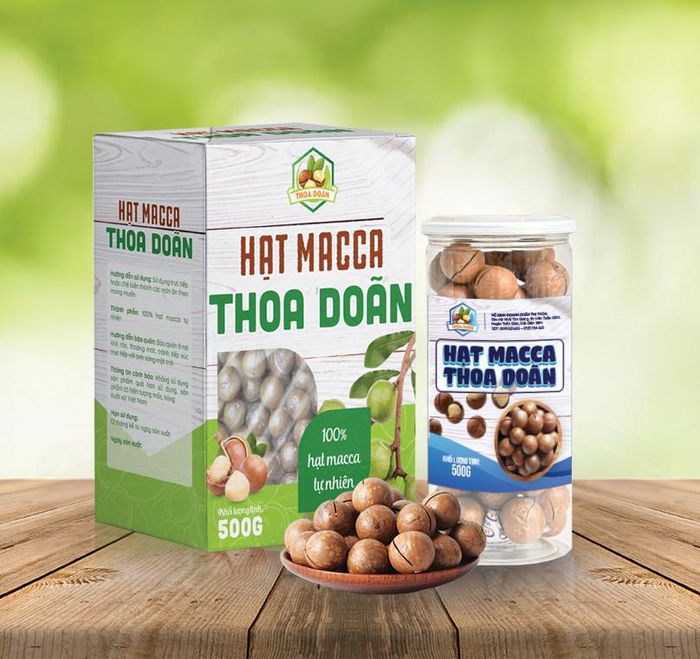 Hạt mắc ca Điện Biên