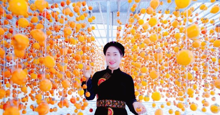 Luật Sở hữu trí tuệ sửa đổi đang rút ngắn thời gian đăng ký, xử lý hồ sơ SHTT.