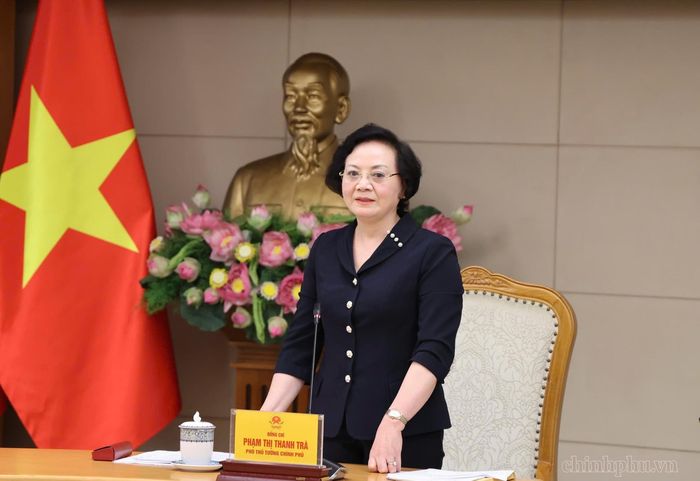 Phó Thủ tướng Phạm Thị Thanh Trà phát biểu kết luận phiên họp. Ảnh: VGP.