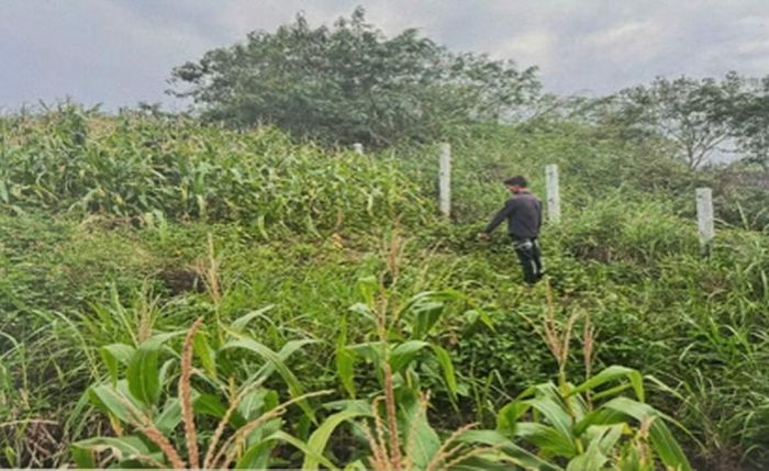 Hiện trường Ksơr Y B gây án.