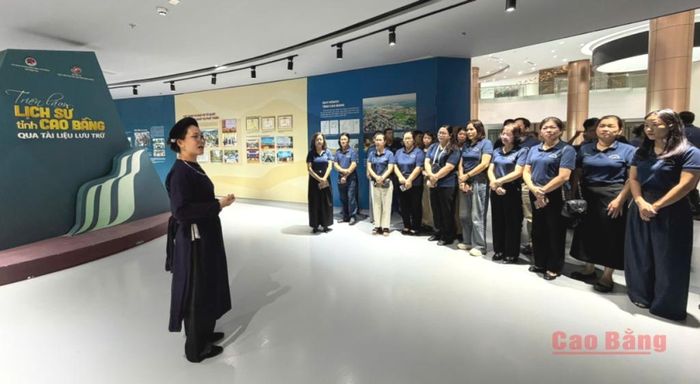 Các đảng viên tham quan tại Bảo tàng tỉnh.