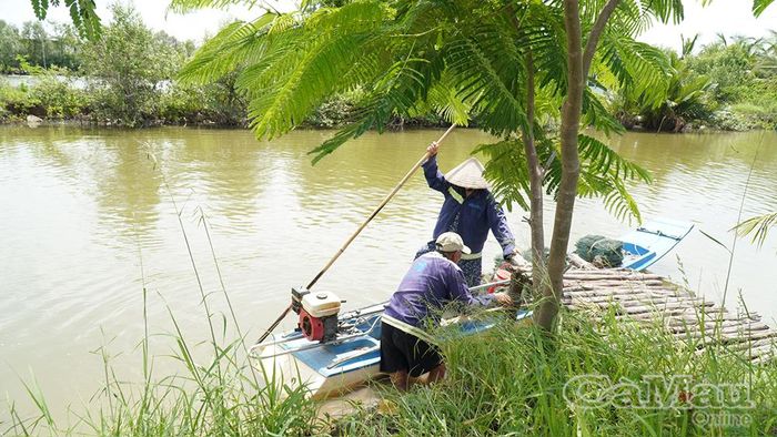 Những ngày mưa, mọi hoạt động đi lại, giao thương của người dân ấp Tân Phú phải phụ thuộc vào chiếc vỏ lãi. 