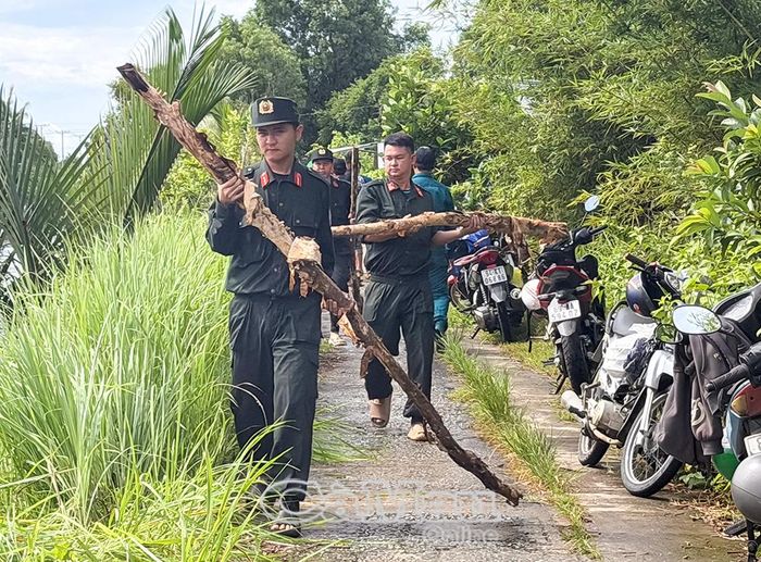 Cán bộ, chiến sĩ Tiểu đoàn 4 vận chuyển cừ phục vụ gia cố bờ kè chống sạt lở.